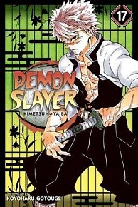 Demon Slayer: Kimetsu no Yaiba 17