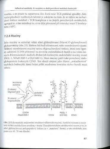 Náhled Základy imunologie, 5.  vydání