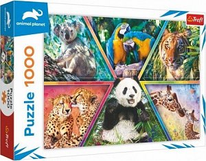 Trefl Puzzle Animal Planet: Království zvířat/1000 dílků