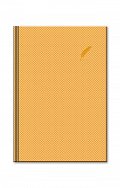 Notes Elegant/zlatý