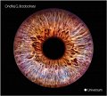 Universum - CD