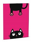 Desky na abecedu Crazy Kitten