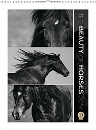 Kalendář 2014 - Krása koní - nástěnný
