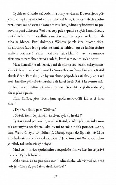 Náhled Arabboy - Jak se žije arabským chlapcům v Evropě aneb Krátký život Rašída A.