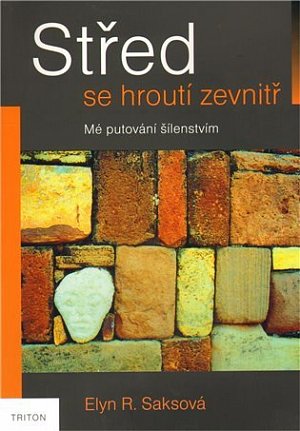 Střed se hroutí zevnitř - Mé putování šílenstvím