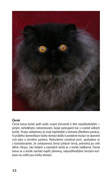 Náhled Kočky - příruční atlas