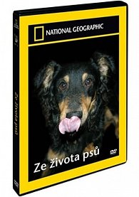 Ze života psů DVD