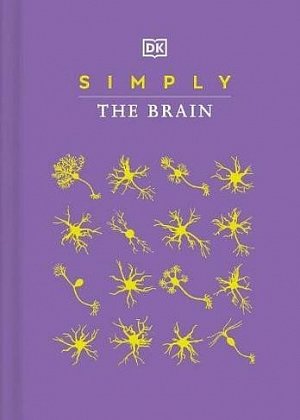 Simply The Brain