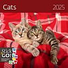 Kalendář nástěnný 2025 - Cats