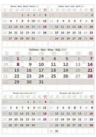 Kalendář nástěnný 2017 - 5měsíční/šedý s jmenným kalendáriem