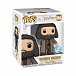 Funko POP Super: Harry Potter - Hagrid with Letter