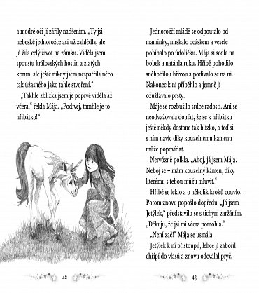 Náhled Tajemní zachránci - Nebeský jednorožec