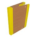 DONAU Box na spisy DONAU LIFE, A4, karton, neonově žlutý