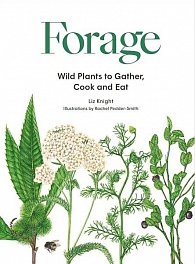 Forage: Wild plants to gather, cook and eat