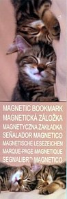 Magnetická záložka tvarovaná - Spící koťátka