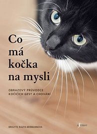 Co má kočka na mysli, 1.  vydání