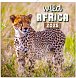 Poznámkový kalendář Divoká Afrika 2025, 30 × 30 cm