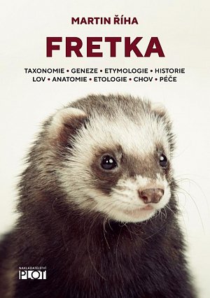 Fretka - Toxonomie, Geneze, Etymologie, Historie, Lov, Anatomie, Etologie, Chov, Péče