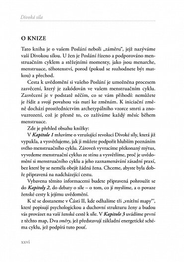 Náhled Divoká síla - Objevte kouzlo svého menstruačního cyklu a probuďte ženskou cestu k síle