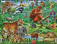 Puzzle MIDI - Zvířata v Indii,JV Asii /29 dílků (2 druhy)