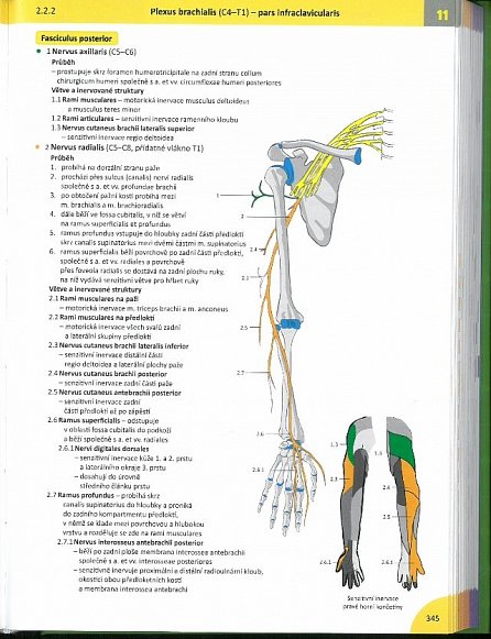 Náhled Memorix Anatomie