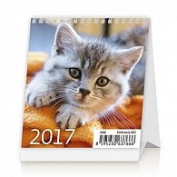 Kalendář stolní 2017 - Mini Kittens