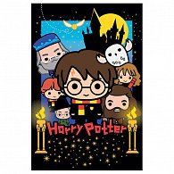 Harry Potter 3D puzzle - Harry Potter 300 dílků + plyšák