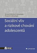 Sociální vliv a rizikové chování adolescentů