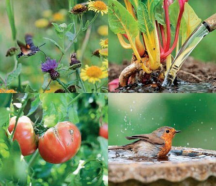 Náhled Stateční v zahradě - Péče o rostliny při extrémech počasí