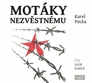 Motáky nezvěstnému - 3 CDmp3