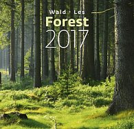 Kalendář nástěnný 2017 - Les - Forest