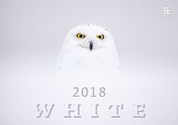 Kalendář nástěnný 2018 - White/Exclusive