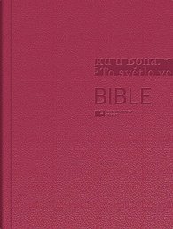 Bible - Český ekumenický překlad bez DT