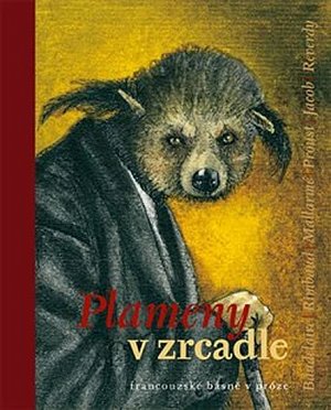 Plameny v zrcadle