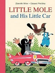 Little mole and his little car