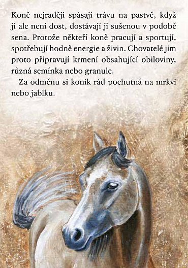 Náhled Koně