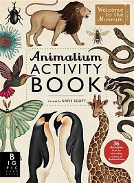 Animalium Activity Book (Welcome to the Museum)