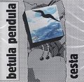 Cesta - CD