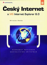 Český internet a MS internet explorer