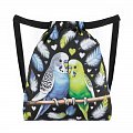 Bagmaster školní sáček na přezůvky/tělocvik BETA 25 A – papoušek