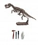Archeologický set –  Tyrannosaurus Rex