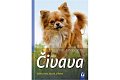 Čivava - Výběr, chov, výcvik, zábava