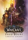 World of Warcraft - Před bouří