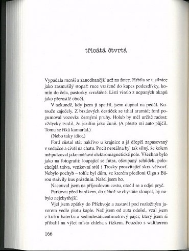 Náhled Rychlopalba - Kriminální román