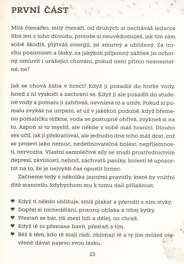 Náhled Jak uzdravit své vnitřní dítě – Sedm kroků k osvobození vlastního já