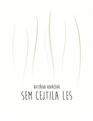 Sem cejtila les