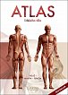 Atlas lidského těla, 14.  vydání