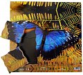 Just Jigsaws 601 Motýl a jeho životní cyklus - dřevěné vrstvené puzzle 19 dílů