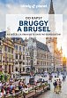 Bruggy a Brusel do kapsy - Lonely Planet