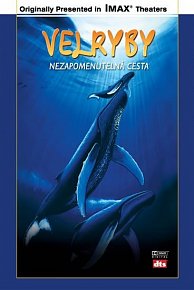 Velryby - Nezapomenutelná cesta - DVD